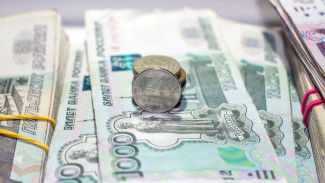Губернатор спрогнозировал рост зарплат воронежцев на 11%
