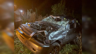 Двое мужчин пострадали в ДТП с перевернувшейся легковушкой в Воронежской области