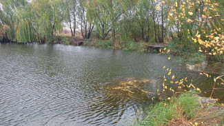 Пропавшего в Воронежской области 89-летнего пенсионера нашли в реке