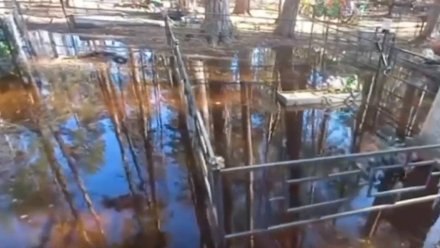 Часть кладбища ушла под воду в воронежском микрорайоне