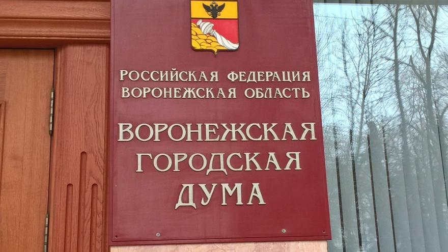 Городская дума приняла бюджет Воронежа на 2019 год