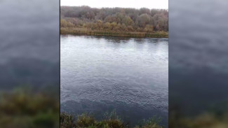 Чиновники прокомментировали разлив солярки в Дон под Воронежем