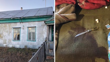 Жительница Воронежской области зарезала экс-возлюбленного за оскорбления и пьянство