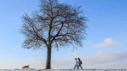 Февральская погода установила в Воронеже температурный рекорд