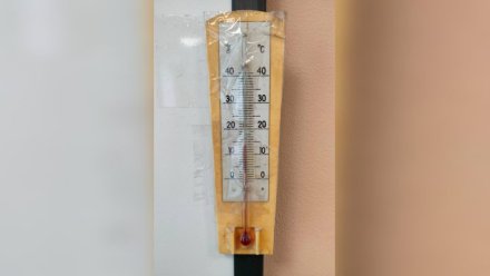 На уроки – в перчатках и шарфах. В Воронеже ученики лицея пожаловались на холод