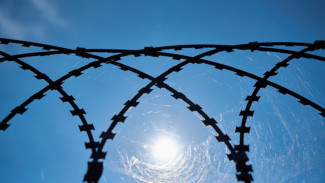 Воронежская область вошла в список регионов с низким уровнем преступности