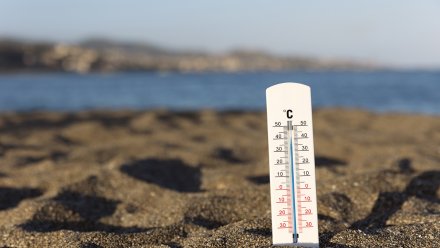 Жара в Воронежской области побила рекорд 2019 года