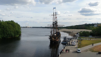 В воронежском вузе нашли способ победить захватившие водохранилище водоросли