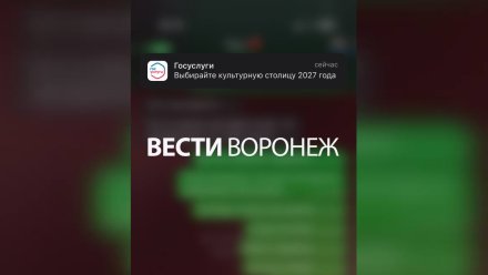 Жителям Воронежской области предложили проголосовать за культурную столицу 2027-го