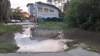 В воронежском парке Оптимистов разлилась пахнущая сероводородом река