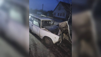 Водитель ВАЗа пострадал после аварии с деревом в воронежском селе