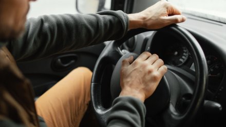 В Воронежской области автомобилиста задержали за повторное пьяное вождение