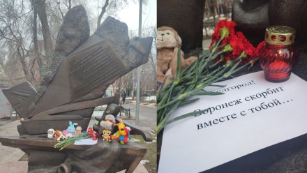 Воронежцы организовали стихийный мемориал жертвам ракетных ударов в Белгороде 