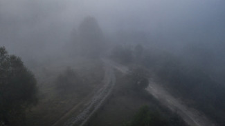 Воронежская область попала в жёлтую зону погодной опасности из-за тумана