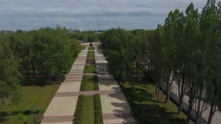 На благоустройство двух воронежских парков потратят почти 18 млн рублей