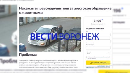 Воронежцы создали петицию с просьбой наказать переехавшего собаку мужчину