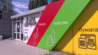 Закрытие части экопунктов в Воронеже назвали временным