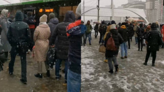 Воронежцы показали на видео утренние очереди на заснеженных остановках