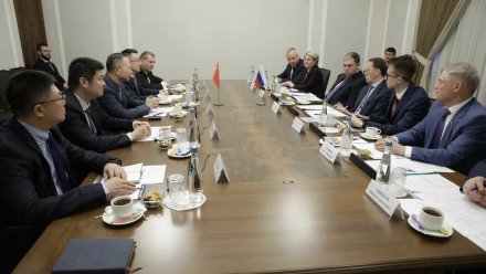 В Воронежской области за счёт китайцев построят завод по утилизации биологических отходов