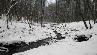 Мокрый снег выпадет в начале новой рабочей недели в Воронеже