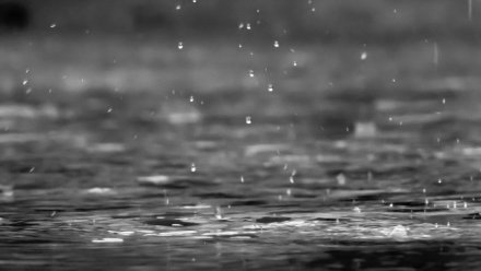 Умеренные дожди пообещали воронежские синоптики в последнюю неделю сентября