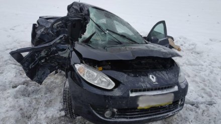 В Нижнедевицком районе Воронежской области ДТП унесло жизни троих человек