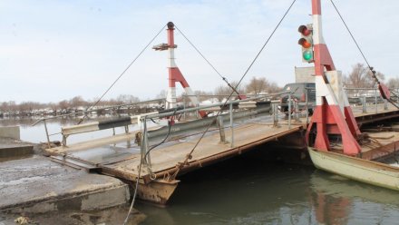В апреле в Воронежской области откроют 6 наплавных мостов через Дон