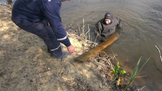 Водолазы начали проверку дня воронежских водоёмов в районе пляжей
