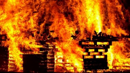 Под Воронежем в сгоревшем дачном доме нашли тело мужчины