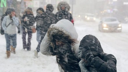 МЧС предупредило жителей Воронежской области о сильном ветре и снежных заносах