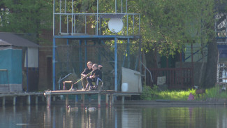 Дачникам в Воронеже закрыли подходы к воде и отключили электричество
