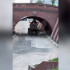 Экскаватор застрял под Каменным мостом в Воронеже в первый день открытия проезда