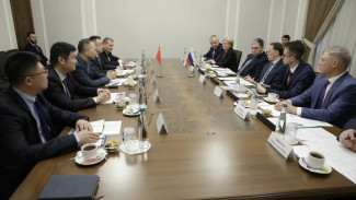 В Воронежской области за счёт китайцев построят завод по утилизации биологических отходов