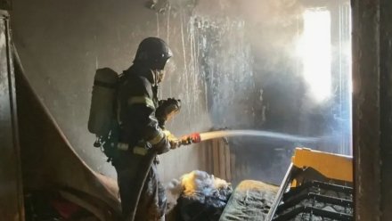 Мужчину спасли из горящего дома при пожаре в воронежском селе