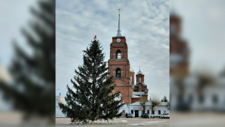 Упавшую из-за сильного ветра ёлку в Бутурлиновке вернули на место