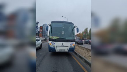 Труп сбитого автобусом велосипедиста нашли на улице Остужева в Воронеже