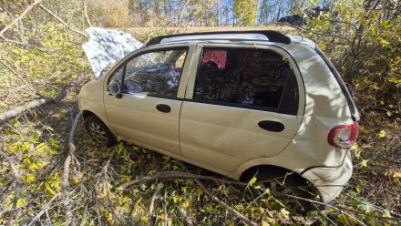 Два пенсионера пострадали в ДТП с деревом в Поворинском районе