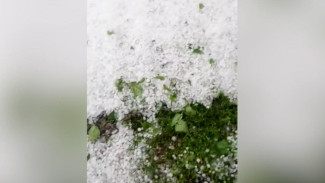 Град обрушился на воронежские сёла: появилось видео