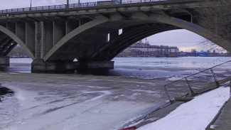 Воронежцам напомнили план действий для провалившихся под лёд