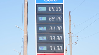 Власти отреагировали на жалобы воронежцев о росте цен на бензин