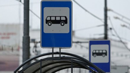В Воронеже перенесут две популярные остановки