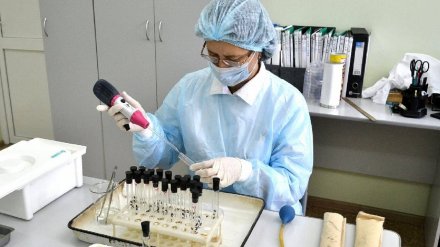Санврачи рассказали о готовности Воронежской области к смертельному вирусу из Китая