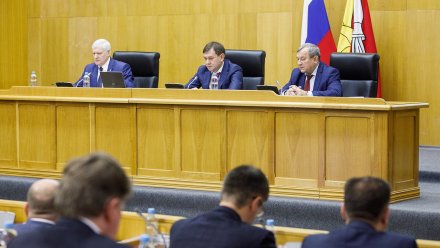 Владимир Нетёсов: «Добросовестный бизнес в регионе получит дополнительную господдержку»