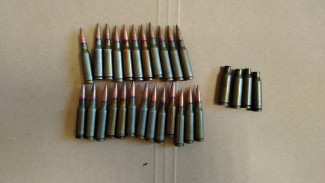 Воронежец попал под дело за найденные в белгородском лесу боеприпасы