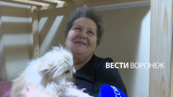 Воронежцы рассказали об эвакуации из СНТ до подрыва части ракеты