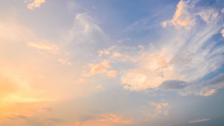 Украинский БПЛА сбили над Воронежской областью 5 февраля