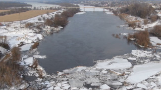В Воронежской области разработают дополнительные меры защиты от паводков