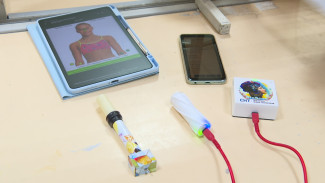 Воронежские учёные модернизировали «электронный нос»