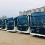 В Воронеже появятся 20 новых автобусов с кондиционерами