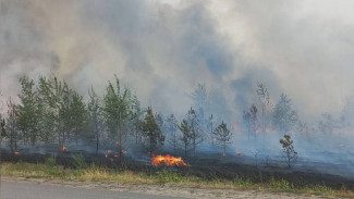 В 12 районах Воронежской области установился самый опасный класс пожароопасности